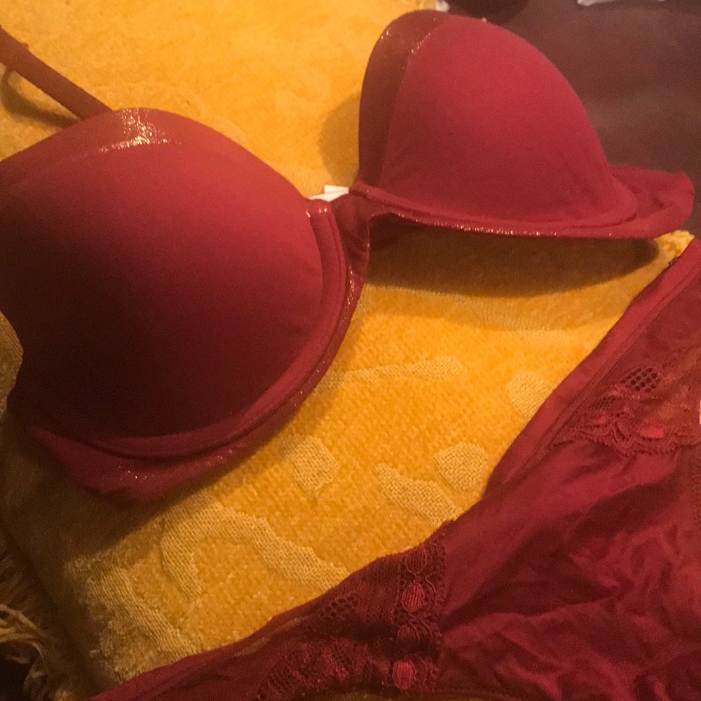 Oxblood Body by VS Bra and Panty